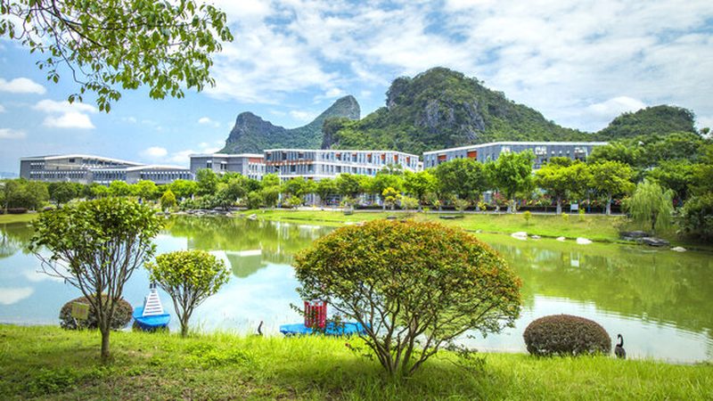 电子模块接线颜色标准：揭秘其背后的逻辑与规范