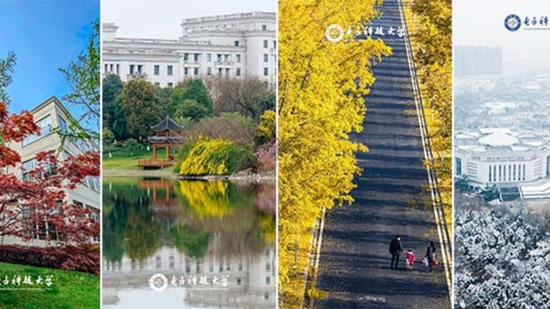 电子科技公司代理返点标准解析：如何合理规避风险**